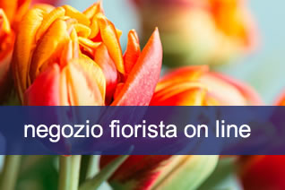 Acquista piante e fiori